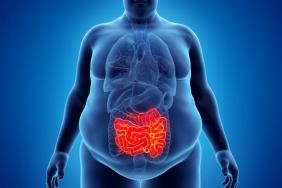 Les protéines intestinales comme nouveaux biomarqueurs des complications de l’obésité 