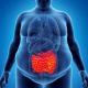 Les protéines intestinales comme nouveaux biomarqueurs des complications de l’obésité 